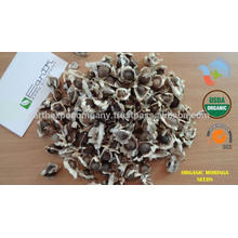 Organic Moringa seeedsfor oil press